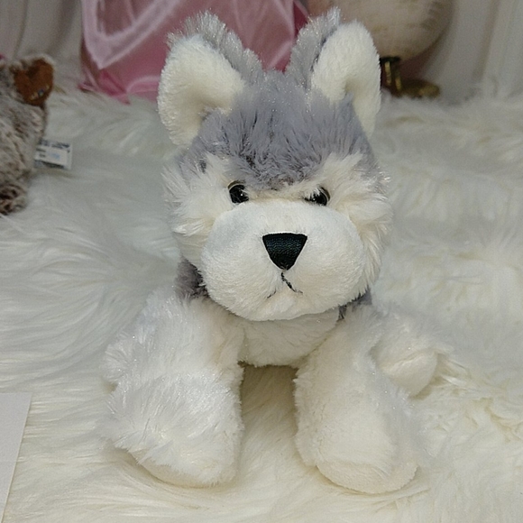 webkinz husky